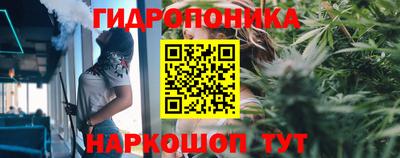 дмт Бузулук